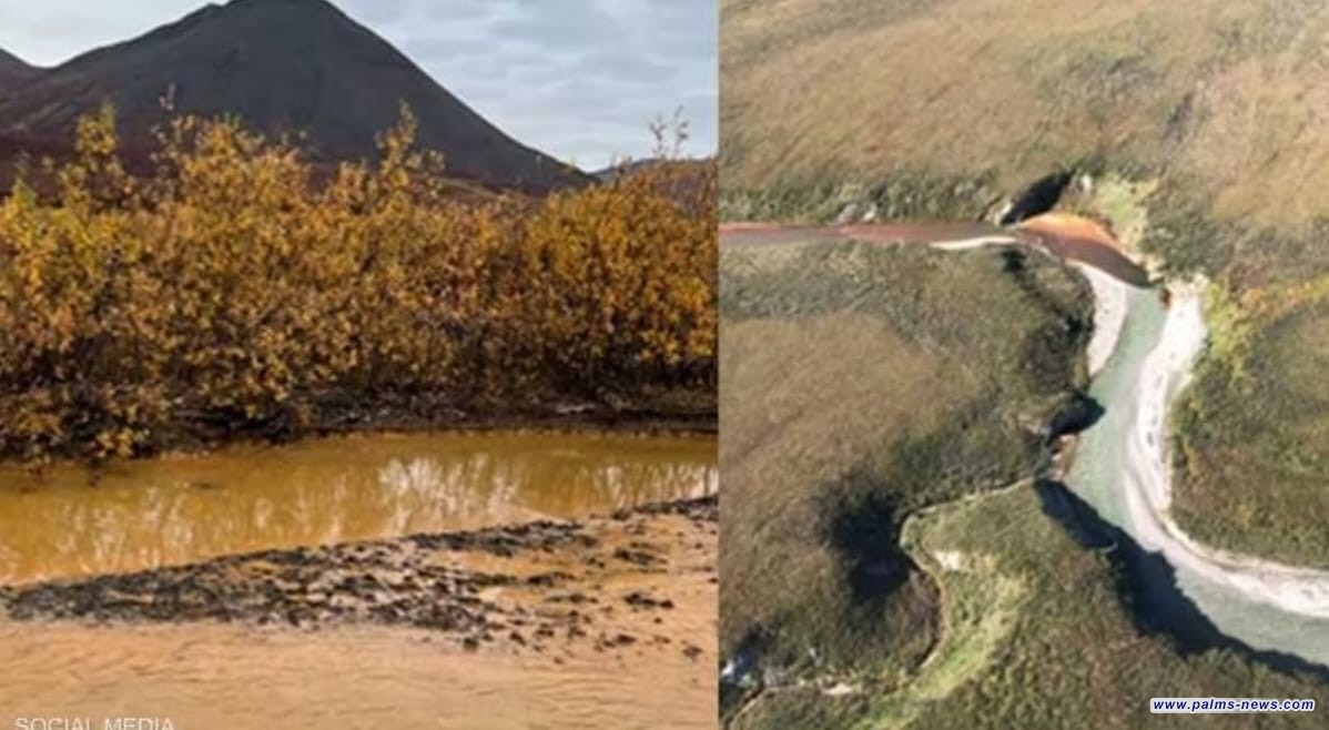 دراسة تكشف سر اللون البرتقالي "الخطير" لأنهار ألاسكا